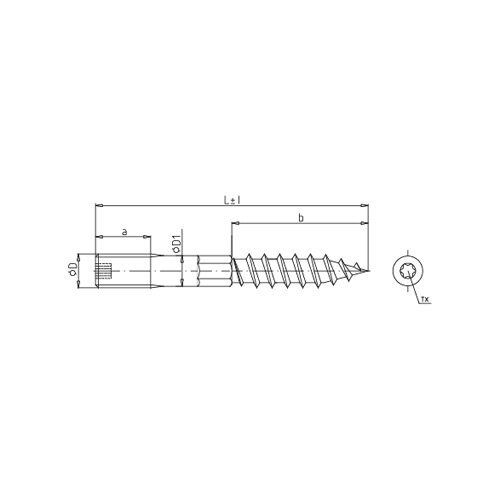 Kombinovaný šroub-vrut M10x160 mm, se středovým šestihranem, zinek bílý